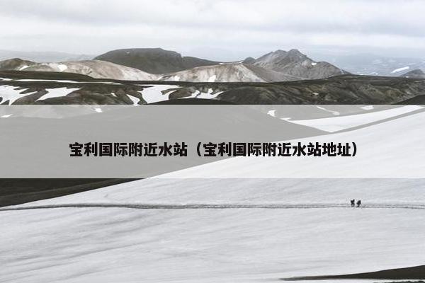 宝利国际附近水站（宝利国际附近水站地址）