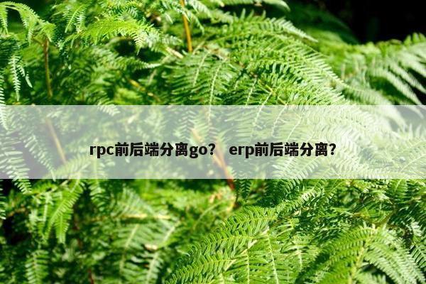 rpc前后端分离go？ erp前后端分离？