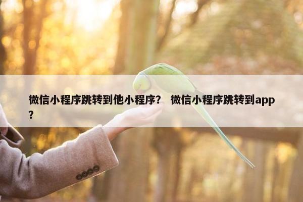 微信小程序跳转到他小程序？ 微信小程序跳转到app？