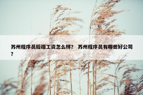 苏州程序员后端工资怎么样？ 苏州程序员有哪些好公司？