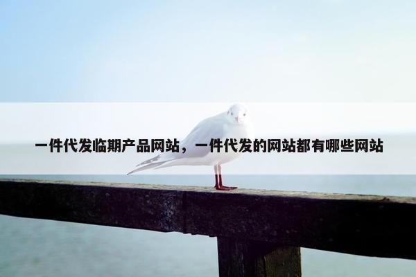 一件代发临期产品网站，一件代发的网站都有哪些网站