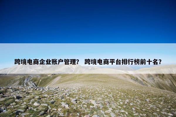 跨境电商企业账户管理？ 跨境电商平台排行榜前十名？