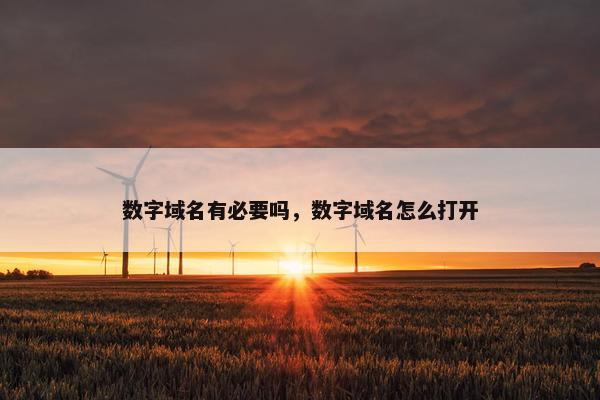 数字域名有必要吗，数字域名怎么打开