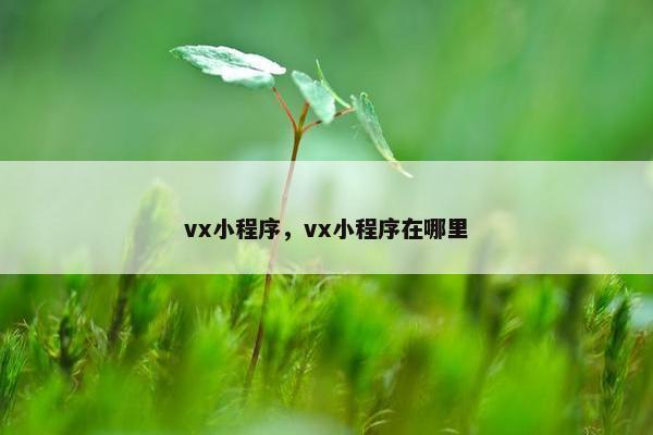 vx小程序，vx小程序在哪里