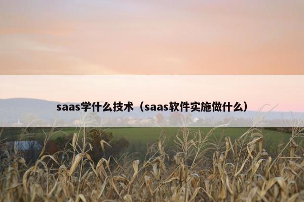 saas学什么技术（saas软件实施做什么）