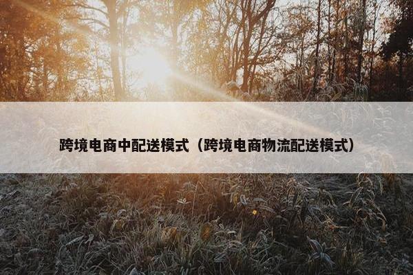 跨境电商中配送模式（跨境电商物流配送模式）