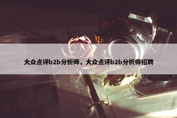 大众点评b2b分析师，大众点评b2b分析师招聘