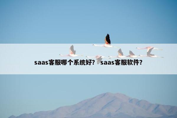 saas客服哪个系统好？ saas客服软件？