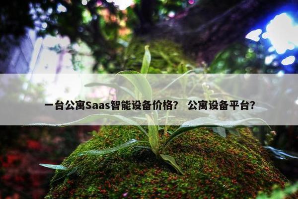 一台公寓Saas智能设备价格？ 公寓设备平台？