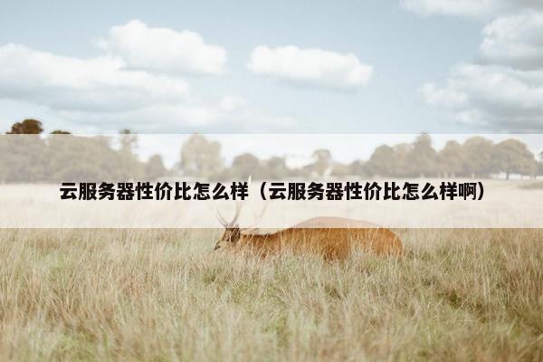 云服务器性价比怎么样（云服务器性价比怎么样啊）