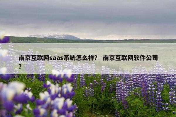 南京互联网saas系统怎么样？ 南京互联网软件公司？