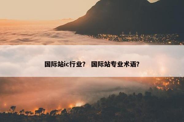国际站ic行业？ 国际站专业术语？