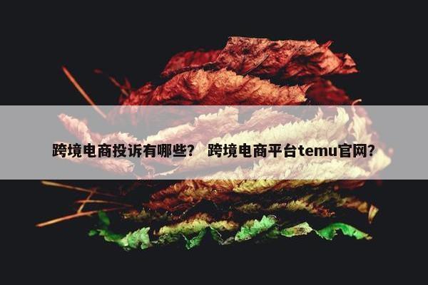 跨境电商投诉有哪些？ 跨境电商平台temu官网？