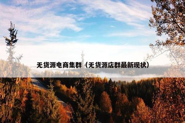 无货源电商集群（无货源店群最新现状）