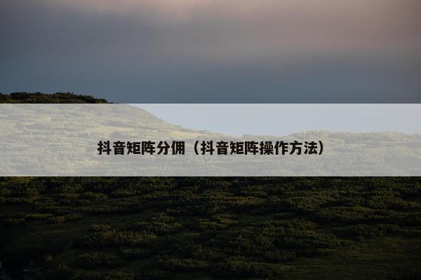 抖音矩阵分佣（抖音矩阵操作方法）