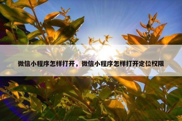 微信小程序怎样打开，微信小程序怎样打开定位权限