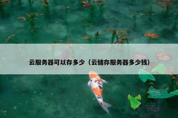 云服务器可以存多少（云储存服务器多少钱）