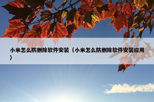小米怎么防删除软件安装（小米怎么防删除软件安装应用）