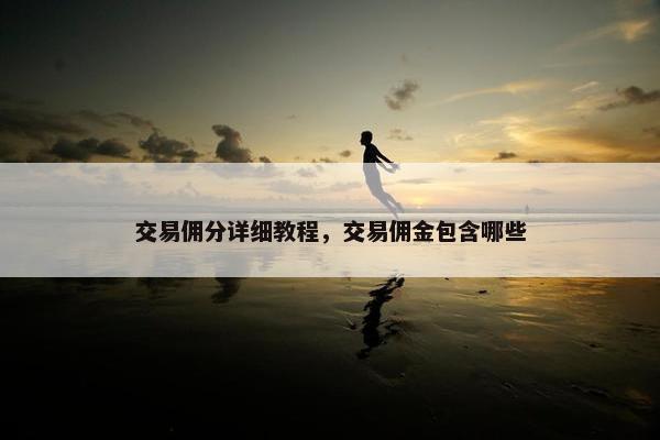 交易佣分详细教程，交易佣金包含哪些