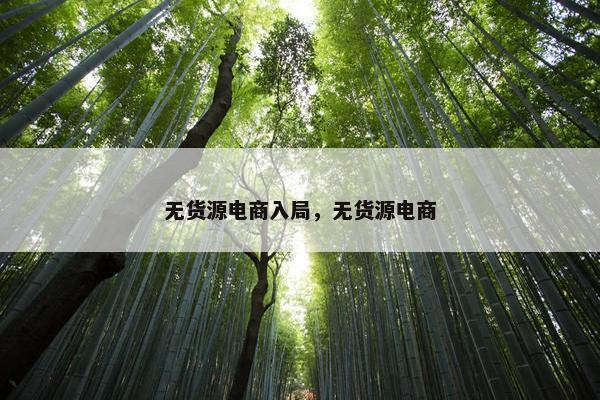 无货源电商入局，无货源电商