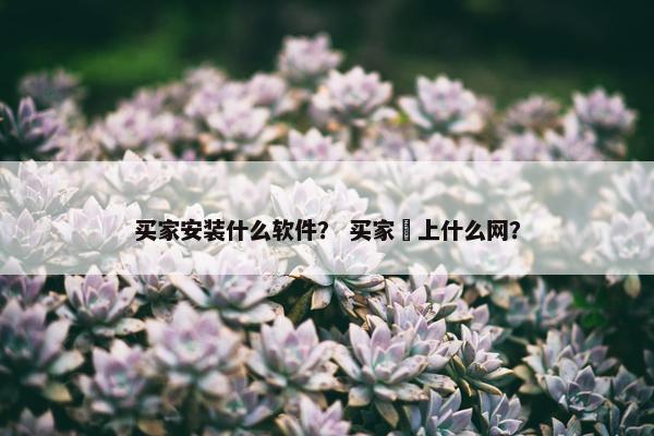 买家安装什么软件？ 买家俬上什么网？