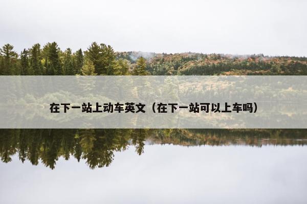 在下一站上动车英文（在下一站可以上车吗）