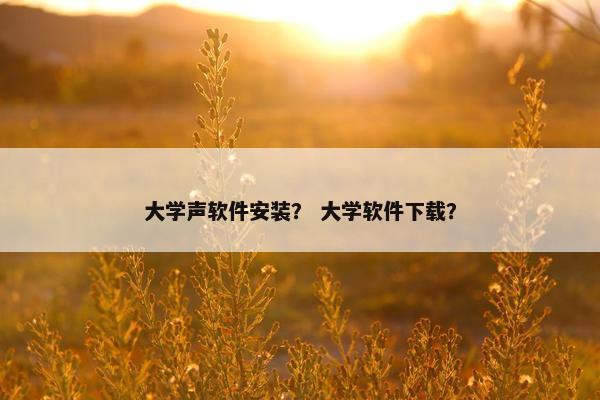 大学声软件安装？ 大学软件下载？