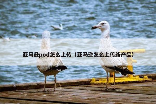亚马逊pod怎么上传（亚马逊怎么上传新产品）
