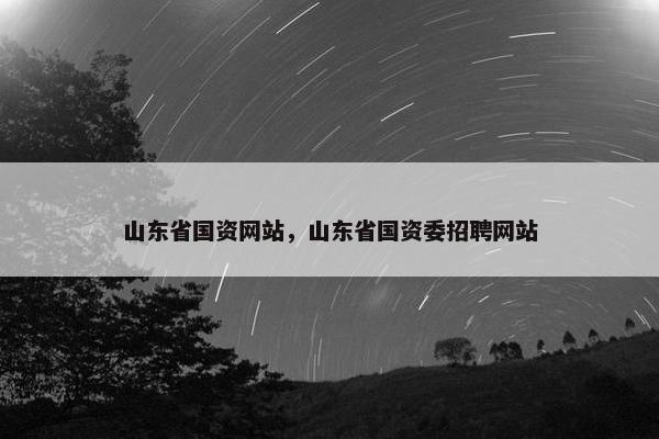 山东省国资网站，山东省国资委招聘网站