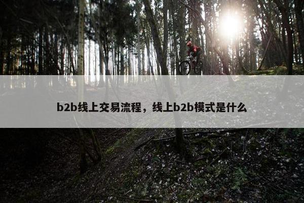 b2b线上交易流程，线上b2b模式是什么