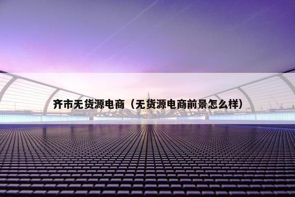 齐市无货源电商（无货源电商前景怎么样）
