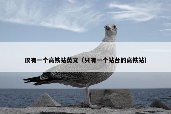 仅有一个高铁站英文（只有一个站台的高铁站）