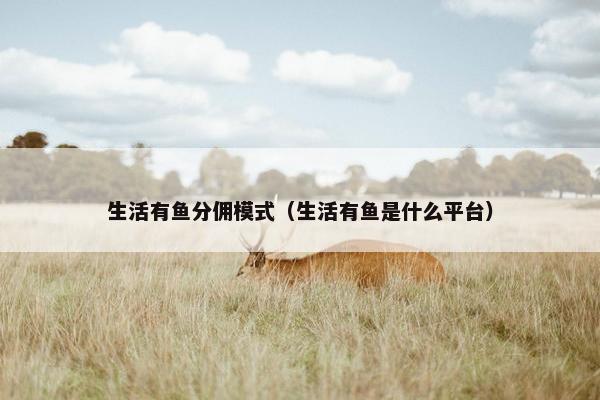 生活有鱼分佣模式（生活有鱼是什么平台）