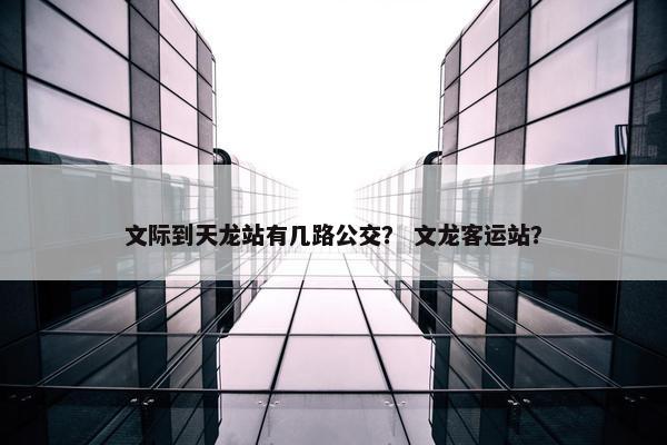 文际到天龙站有几路公交？ 文龙客运站？