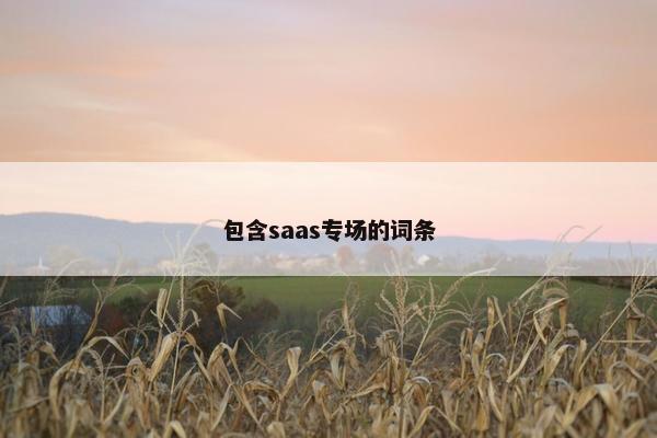 包含saas专场的词条