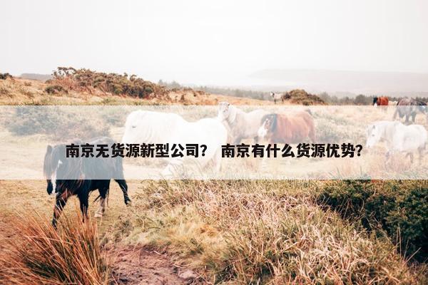 南京无货源新型公司？ 南京有什么货源优势？
