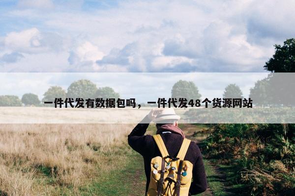 一件代发有数据包吗，一件代发48个货源网站