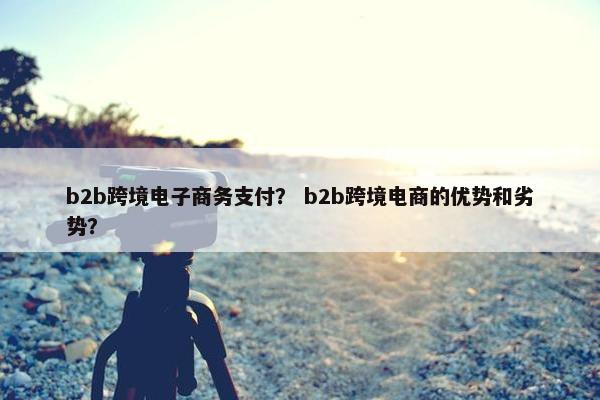 b2b跨境电子商务支付？ b2b跨境电商的优势和劣势？