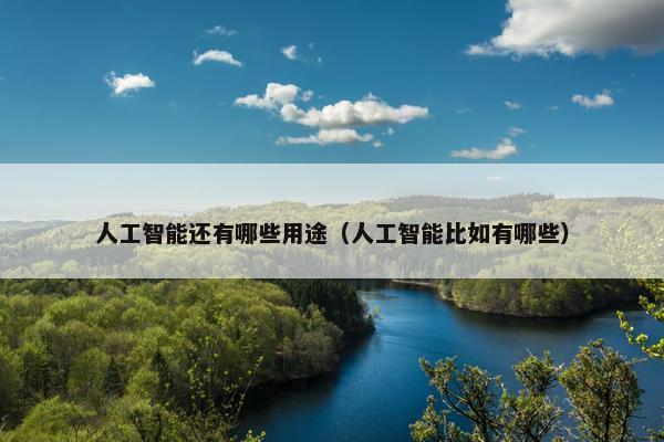 人工智能还有哪些用途（人工智能比如有哪些）