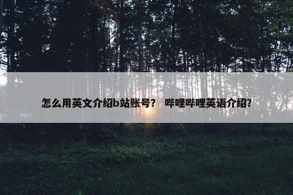 怎么用英文介绍b站账号？ 哔哩哔哩英语介绍？