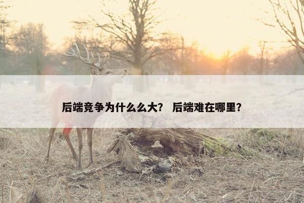 后端竞争为什么么大？ 后端难在哪里？