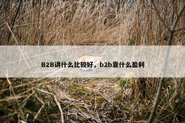 B2B讲什么比较好，b2b靠什么盈利