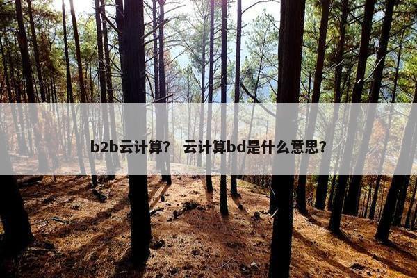 b2b云计算？ 云计算bd是什么意思？