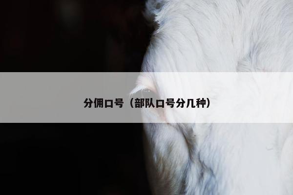 分佣口号（部队口号分几种）