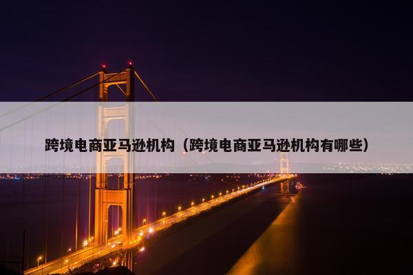 跨境电商亚马逊机构（跨境电商亚马逊机构有哪些）