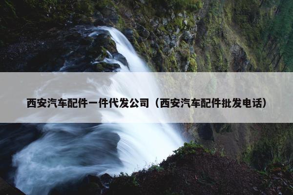西安汽车配件一件代发公司（西安汽车配件批发电话）