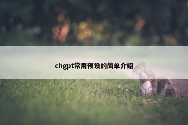 chgpt常用预设的简单介绍