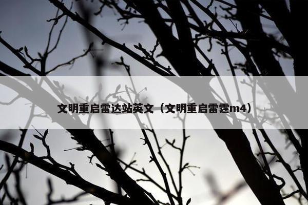 文明重启雷达站英文（文明重启雷霆m4）