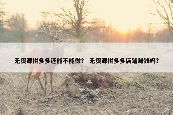 无货源拼多多还能不能做？ 无货源拼多多店铺赚钱吗？