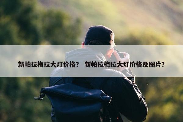 新帕拉梅拉大灯价格？ 新帕拉梅拉大灯价格及图片？